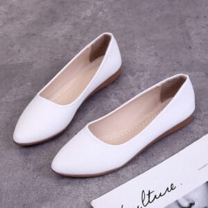 The Seoul Pointed-Toe Flat