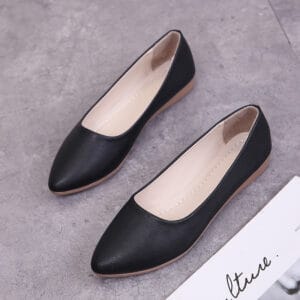 The Seoul Pointed-Toe Flat